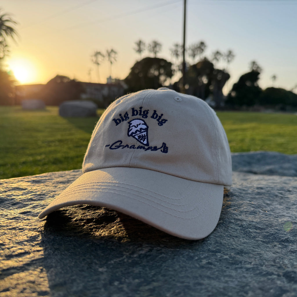 "My Favorite Cone" Dad Hat