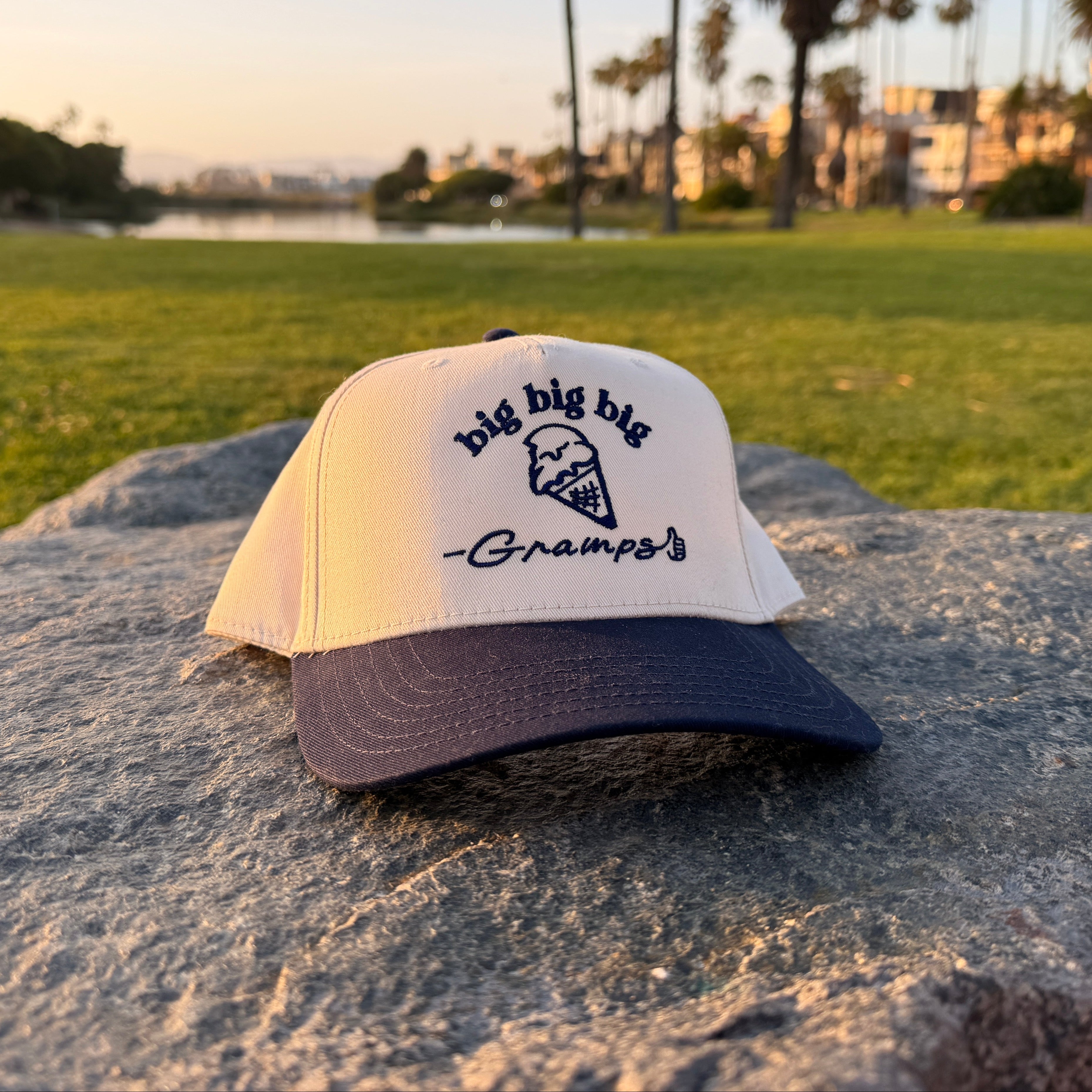 "My Favorite Cone" -Five Panel Cap